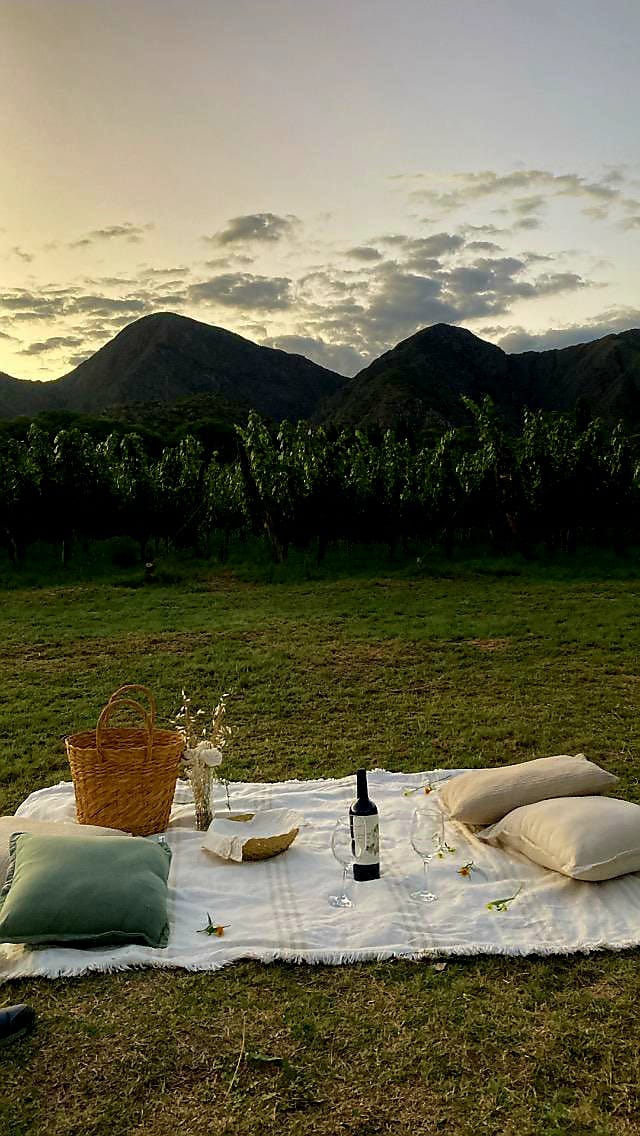 Pic Nic