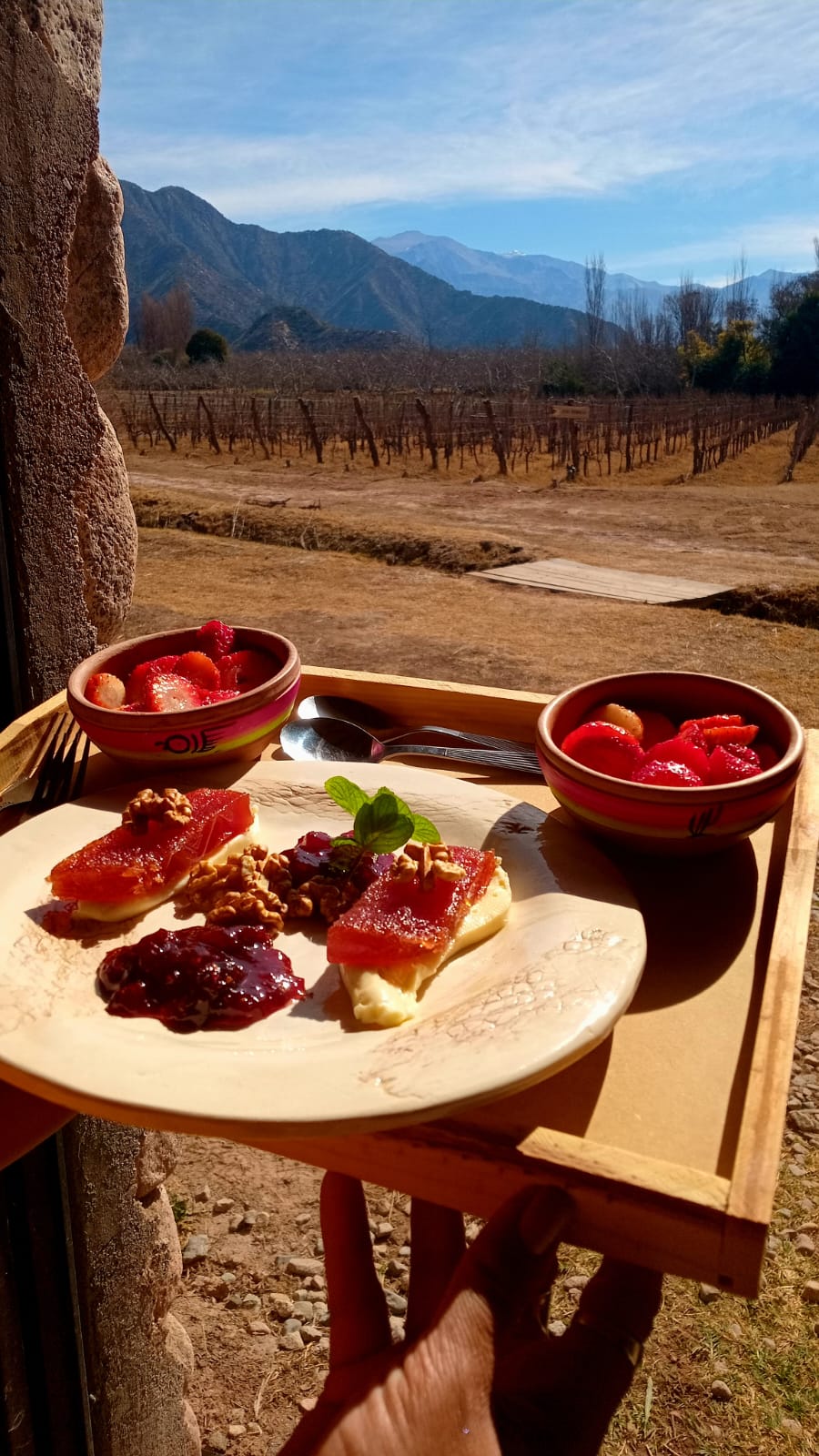 Experiencia De Barro en el viñedo