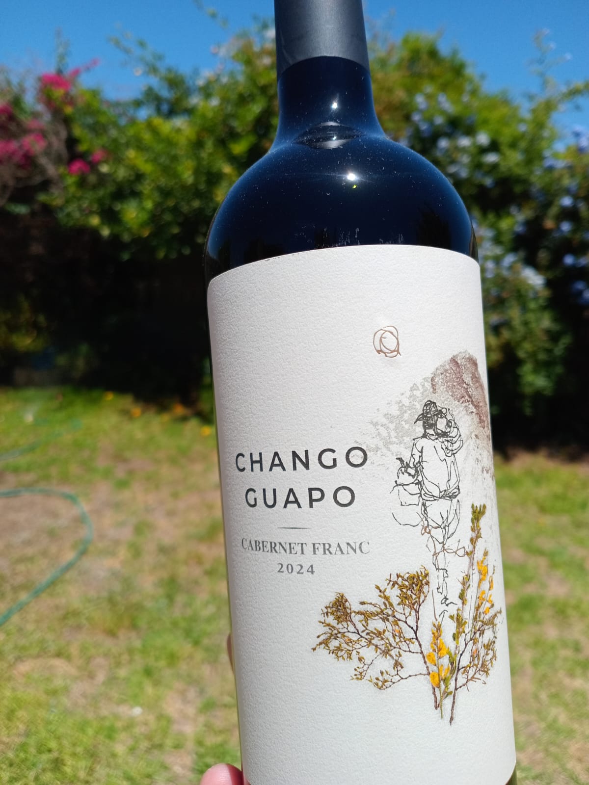 Cabernet Franc