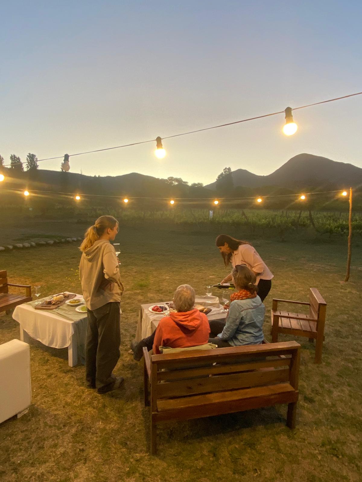 Visitantes disfrutando del viñedo