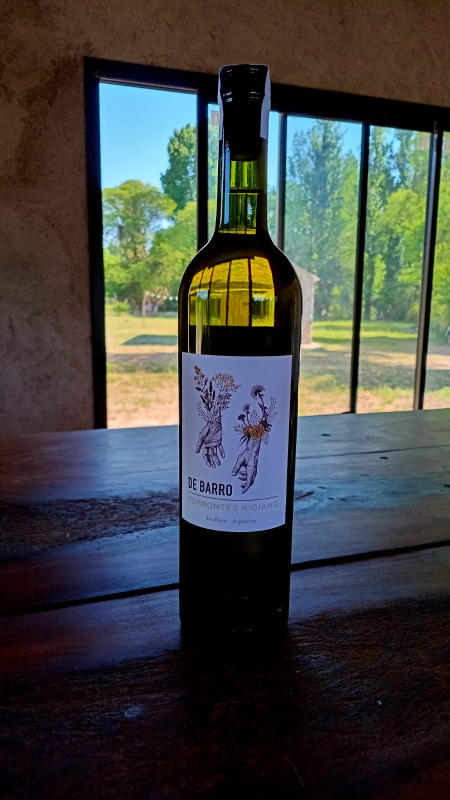 De Barro Torrontés Riojano