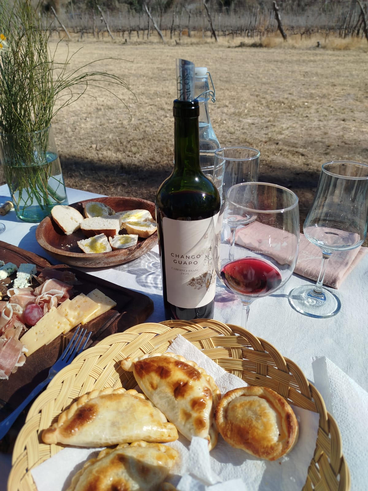 Cabernet Franc entre viñedos