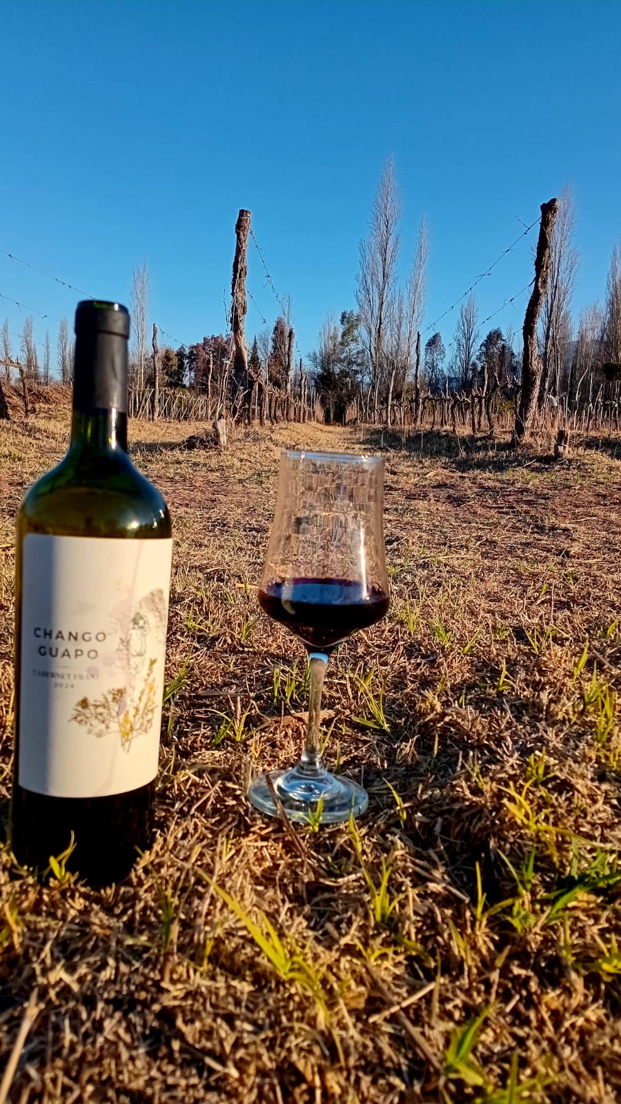 De Barro Torrontés Riojano