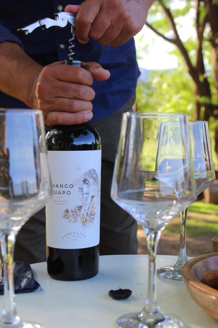 Cabernet Franc entre viñedos