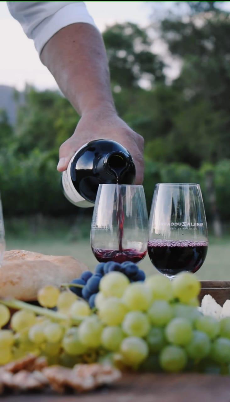 Cabernet Franc entre viñedos